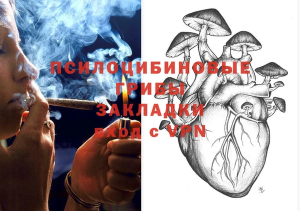 apvp Абаза