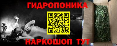 индика Конаково