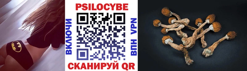 гидра онион Нижнекамск Галлюциногенные грибы Psilocybe